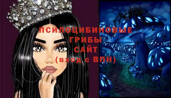 Альфа ПВП Абаза