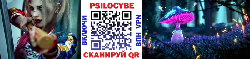 Галлюциногенные грибы Cubensis Холм